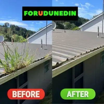 Before & After: Grass and debris removed from roof gutters, restoring clean gutter lines. Kaikorai, Dunedin.