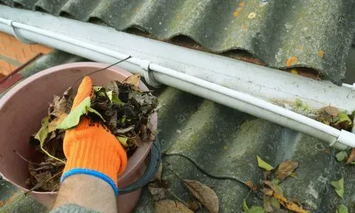 Gloved hand clearing leaves and debris from a one-storey roofline gutter in Helensburgh, Dunedin.