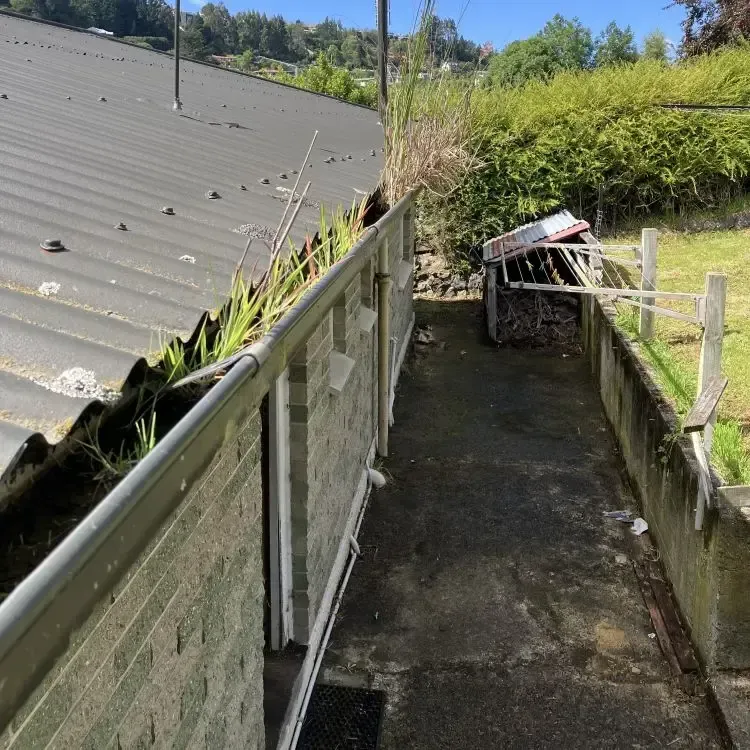 Before: Grass and plant growth filling a roof gutter along the house side before cleaning, Mornington, Dunedin.