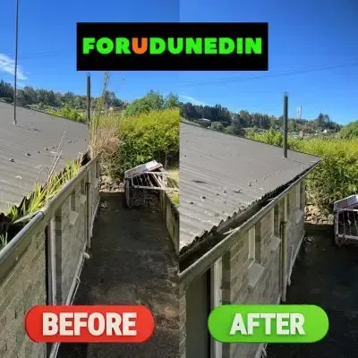 Before & After: Gutter cleaning showing grass and debris removed from roof gutter, Mornington, Dunedin.