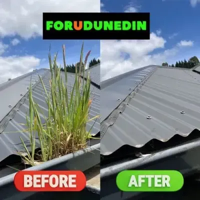 Before & After: Gutter cleaning showing grass and debris removed from the roof gutter, North East Valley, Dunedin.