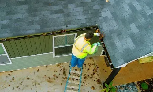 Worker clearing debris from a one-storey gutter using a ladder at a residential home in Dunedin.