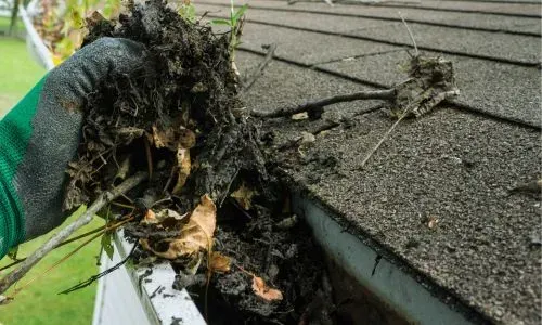 Gloved hand removing heavy dirt, leaves, and gutter blockage from a one-storey roofline in Sunnyvale, Dunedin.