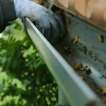 A FORUDUNEDIN Spout cleaner providing one-storey gutter cleaning services, removing leaves and debris build-up.