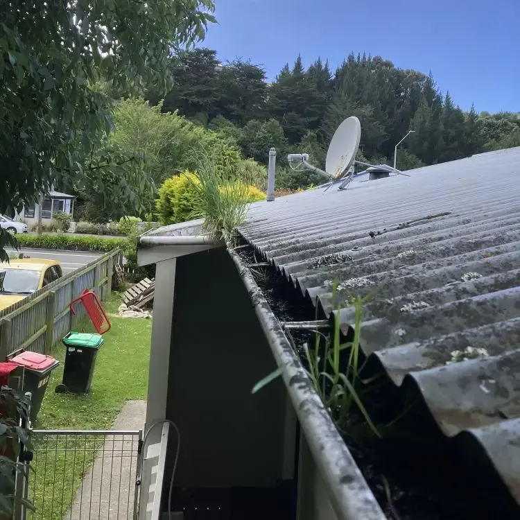 Before: Grass and debris blocking a roof gutter along the house edge before cleaning, South Dunedin, Dunedin.