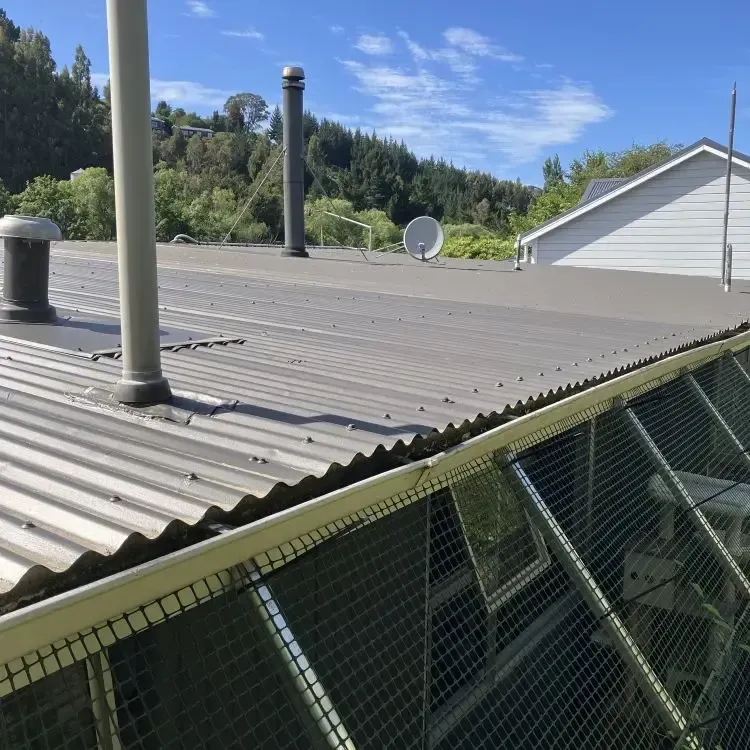 After: Clean roof gutters with all grass and debris removed. Sunnyvale, Dunedin.