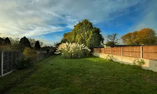 Healthy section clearing in Dunedin showing open lawn space and improved boundary visibility.