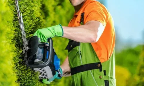 FORUDUNEDIN gardener trimming a hedge on an angle for a residential customer in Portobello, Dunedin.