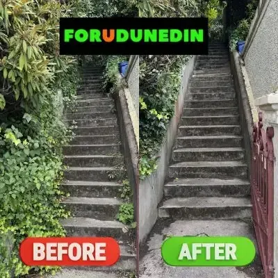 Before & After: Hedge cutting job to remove overgrown leaves to clear the staircase in St. Clair, Dunedin.