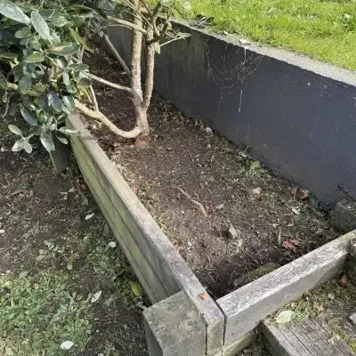 After: Small tree cutting and weed puling from garden box and bed, North Dunedin.