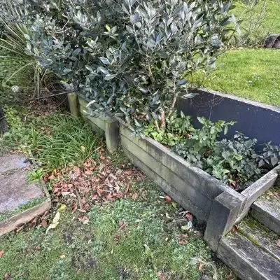 Before: Small tree cutting and weed puling from garden box and bed, North Dunedin, Dunedin.