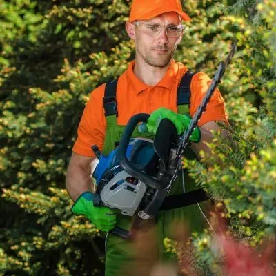 Hedge maintenance expert in Dunedin holding a trimmer after completing compliant hedge cutting work.