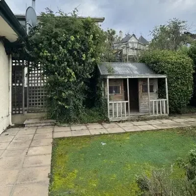 Before: Hedge shaping and sculpting for a residential property in St. Clair