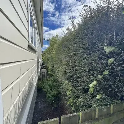 Before: Hedge shaping and design, St Clair, Dunedin.