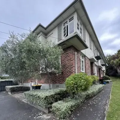 After: Hedge shaping and shrub pruning services, St Clair.