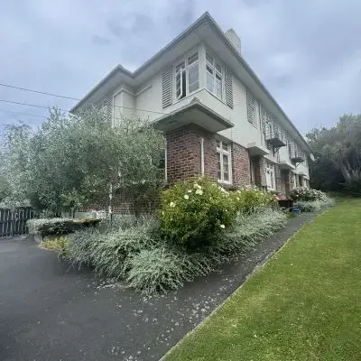 Before: Hedge shaping and shrub pruning services, St Clair, Dunedin.