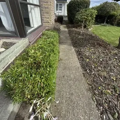After: Small hedge shaping work and garden tidy up services, North Dunedin.