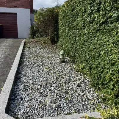 After: Hedge cutting contractor transforming overgrown hedge into eye-catching garden area, St Clair.