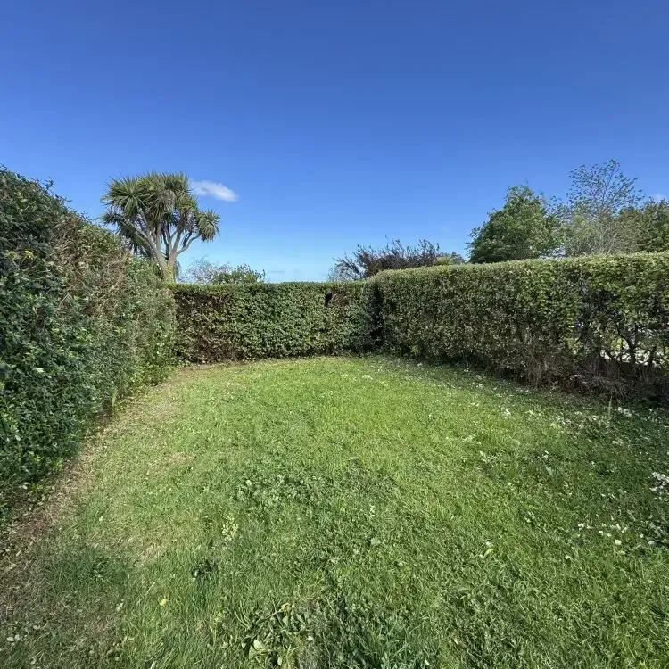 After: Hedge trimming and shaping, Wakari.