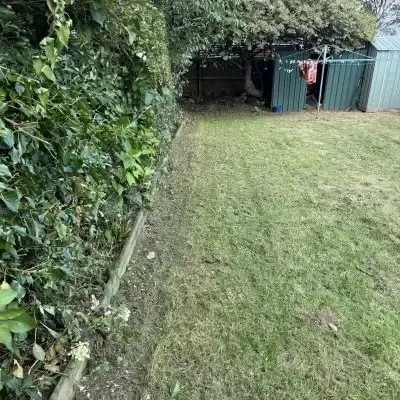 After: Backyard, hedge trimming, and lawn cutting service for a North Dunedin flat.