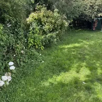 Before: Backyard, hedge trimming, and lawn cutting service for a North Dunedin flat in Dunedin City.