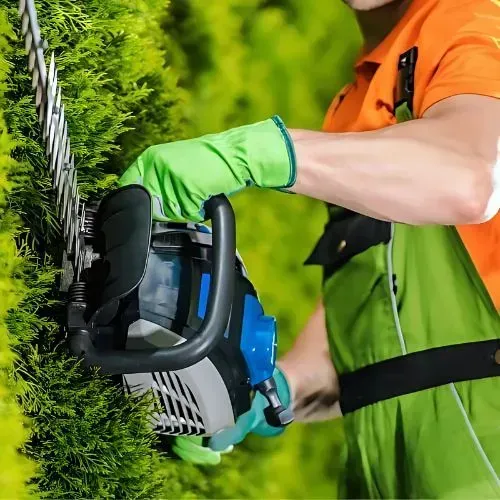 WINZ quotes for all yard maintenance services in Dunedin.