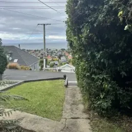 After: 5-metre high, long reach, difficult hedge maintenance and trimming job, St Clair.