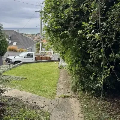 Before: 5-metre high, long reach, difficult hedge maintenance and trimming job, St Clair, Dunedin.