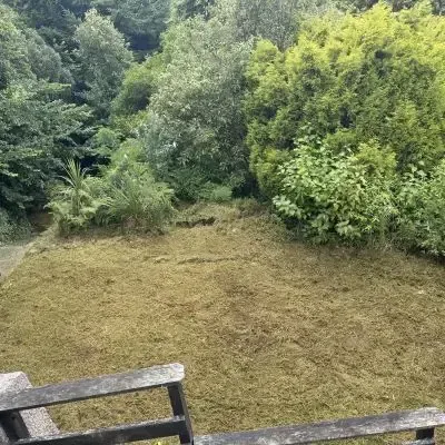 After: Lawn mowing and garden maintenance, bush trimming, and yard and section tidy up in North Dunedin.