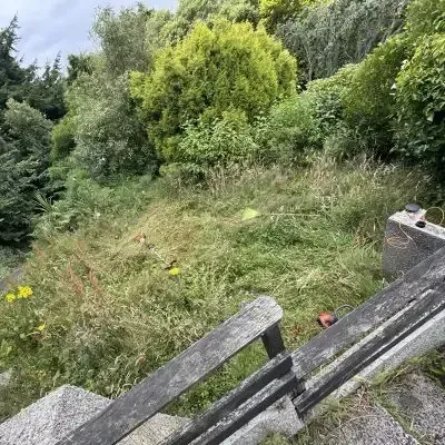 Before: Lawn mowing and garden maintenance, bush trimming, and yard and section tidy up in North Dunedin, Dunedin.