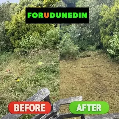 Before & After: Full section clean-up job including lawn cutting and hedge trimming in North Dunedin.
