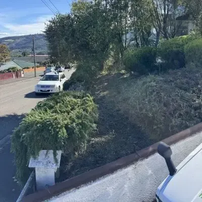 After: Garden tidy-up, removing overgrown plants and weeds, St Clair.