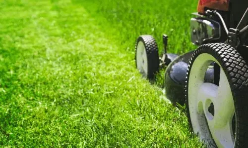 Lawn care services, cutting the turf in Concord, Dunedin.