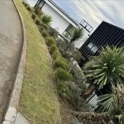 After: Flax bush pruning, garden clean-up, lawn mowing, and precise edging services. St Clair.