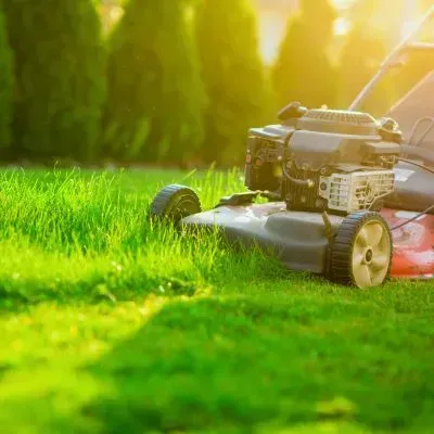 Lawn mowing cost Dunedin.