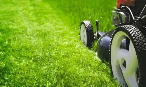 Lawn mowing Dunedin: a lawn-cutting job taking place in Balaclava.