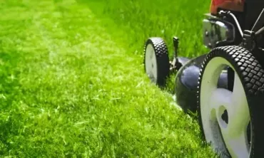 Lawn mowing Dunedin: a lawn-cutting job taking place in Balaclava.
