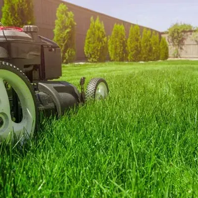 Exceptional lawn mowing services taking place on a Dunedin property before weedeating the edges.