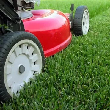 A Toro 21-inch Heavy-Duty Mower mowing a 75 square metre lawn, going back and forth for a pristine finish with edges.
