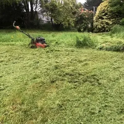 Before: 55 metre lawn mowing job completed to perfection, St. Clair.