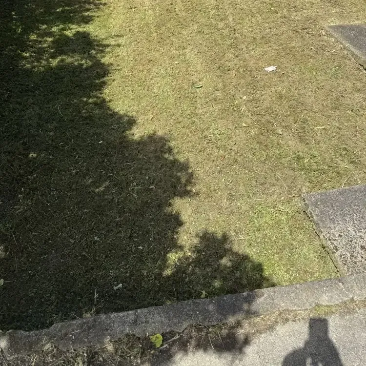 After: Long lawns mowed with precision, resulting in an attractive backyard in Halfwaybush, Dunedin