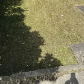 After: Long lawns mowed with precision, resulting in an attractive backyard in Halfwaybush, Dunedin