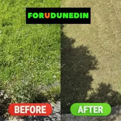 Before & After: Long grass trimmed and mowed in Halfwaybush, Dunedin.