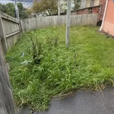 Before: Lawn Mowing and edging services for a 30 square metre residential lawn in St Clair, Dunedin.