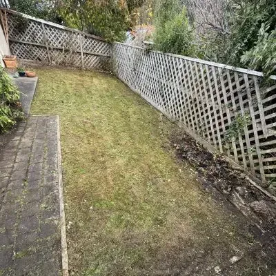 After: Lawn mowing and edging job of a backyard in St. Clair.