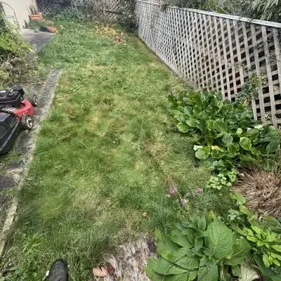 Before: Lawn mowing and edging job of a backyard in St. Clair.