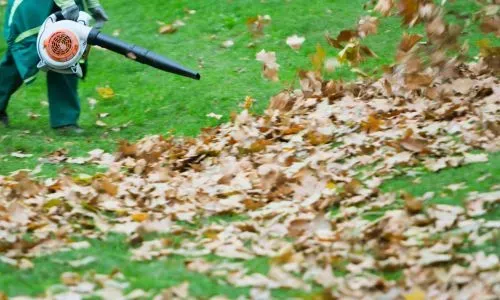 Leaf blowing leaves from a residential lawn during a yard tidy, completed in Shiel Hill, Dunedin.