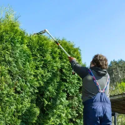A FORUDUNEDIN hedge trimming expert using an extension pole to cut the top of a 5-metre high hedge.