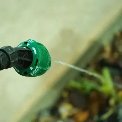 Organic weed sprayer used by a hedge care professional in Ravensbourne, Dunedin, for safe vegetation control.