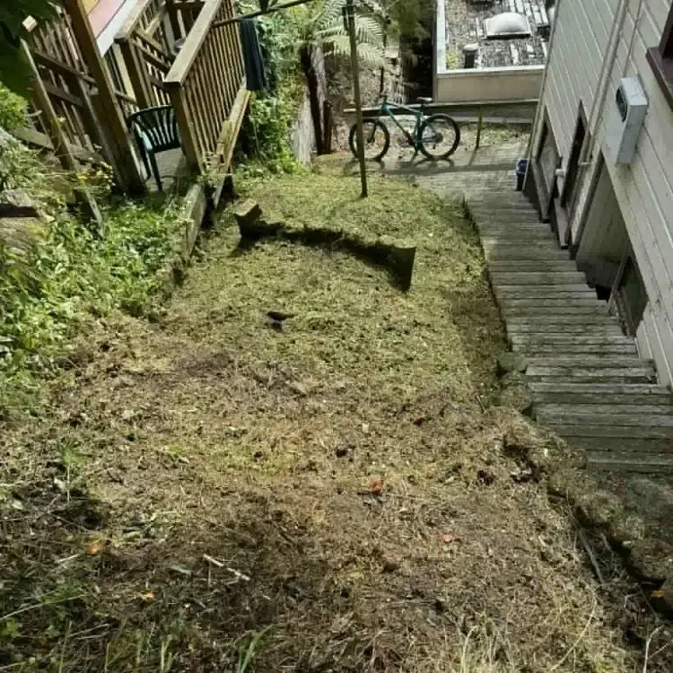After: Grass and weeds cleared, leaving a tidy sloped yard and access area. Dunedin Central, Dunedin.